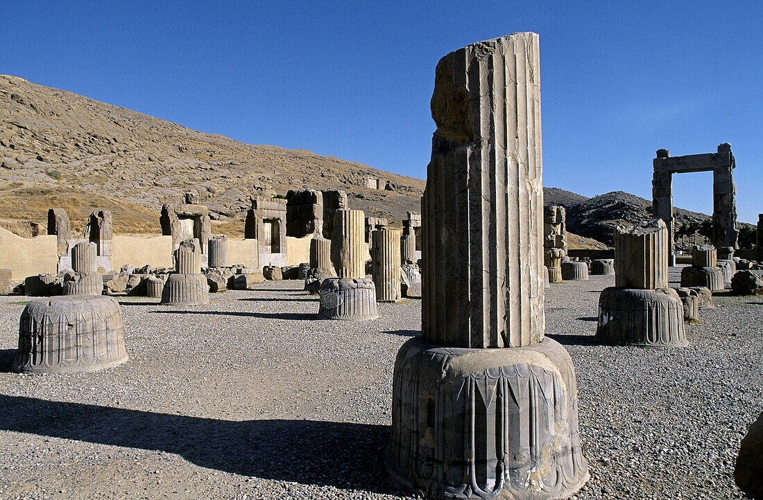 Chapiters. Hundred-Column Hall (Throne hall). Persepolis. Iran.