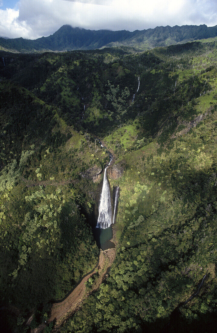 Waterfall. Kauai island. Hawai