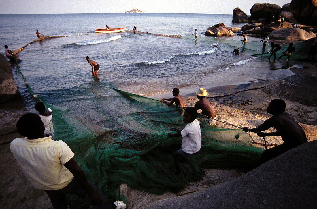 Fishermen pulling nets at at lake Malawi. Malawi