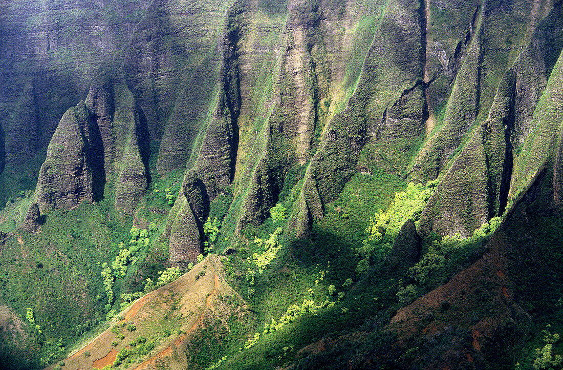 Kauai island. Hawai