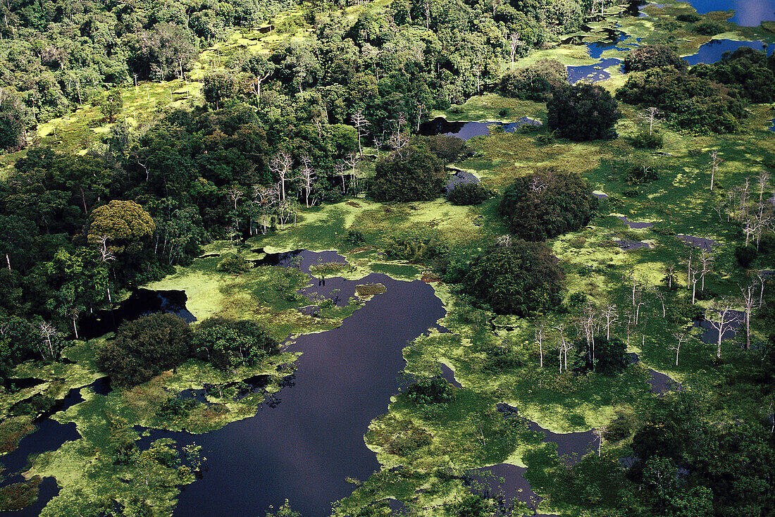 Amazonia rainforest and lagoons. Aerial view. Peru