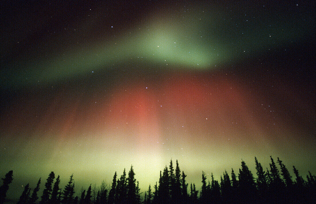 Aurora Borealis or Nothern Lights. Denali National Park. Alaska. USA