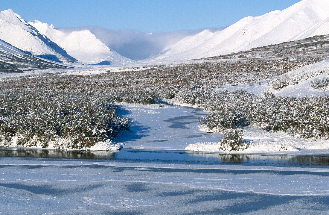 Seward peninsula. Alaska. USA