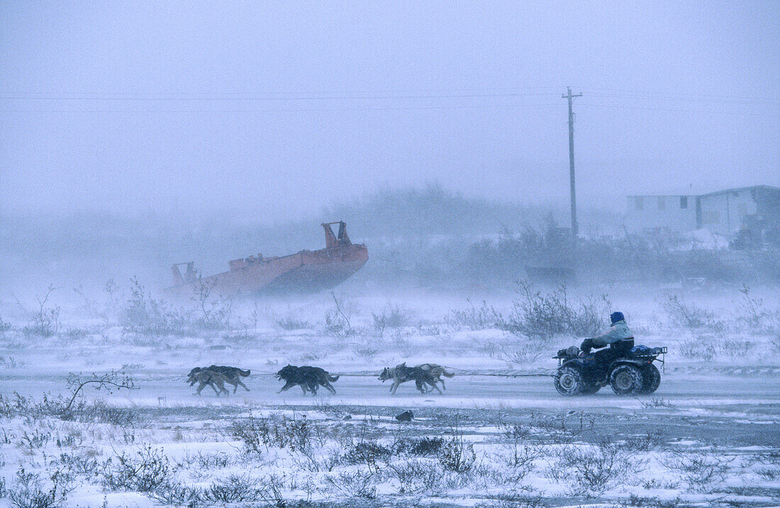 Sleigh. Nome. Seward peninsula. Alaska. USA