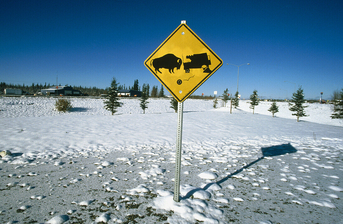 Buffalo crossing sign. Delta Junction. Alaska. USA