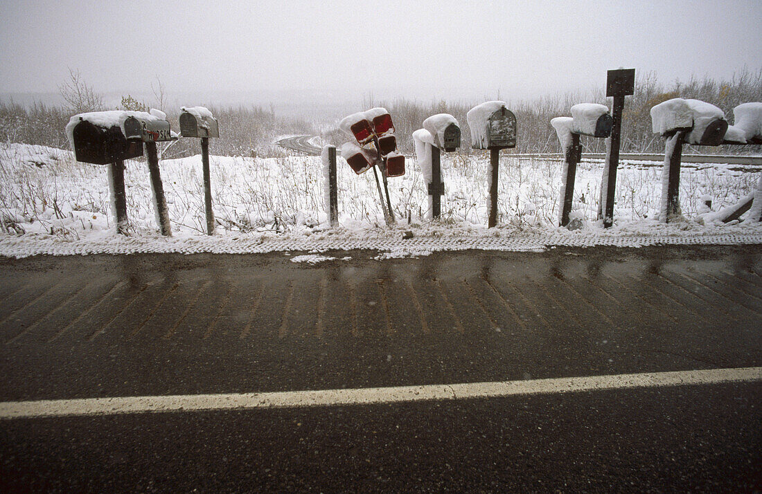 Mailbox. Denali National Park. Alaska. USA