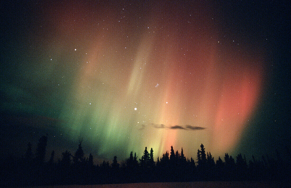 Aurora Borealis or Nothern Lights. Yukon territory. Canada