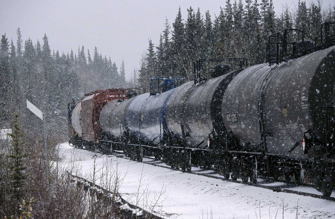 Train to Denali National Park. Alaska. USA