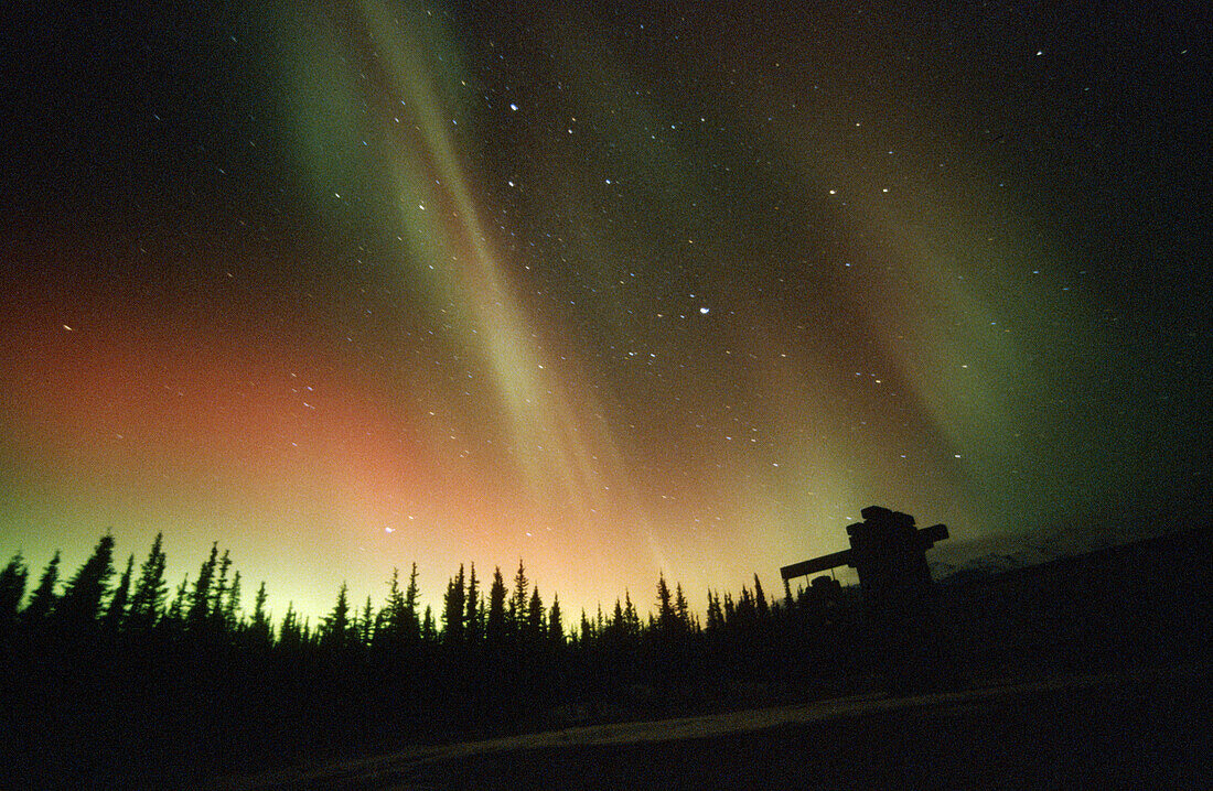 Aurora Borealis or Nothern Lights. Denali National Park. Alaska. USA