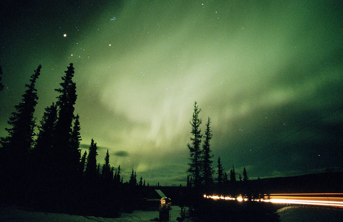 Aurora Borealis or Nothern Lights. Denali National Park. Alaska. USA