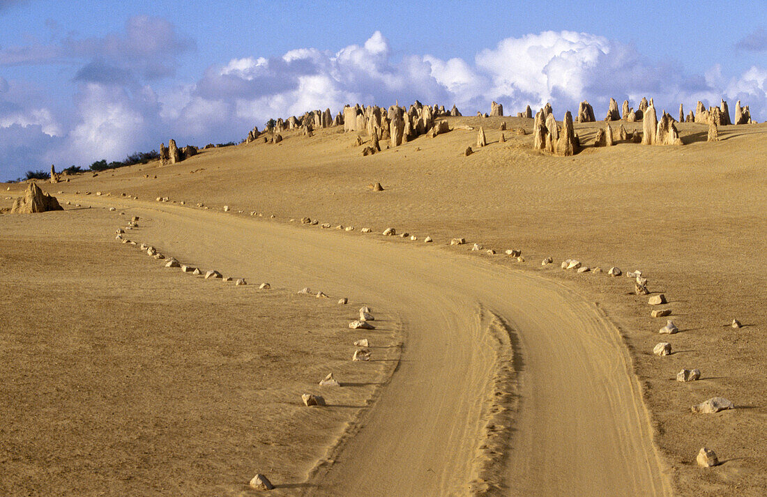 Road at Nambung National Park. Western Australia