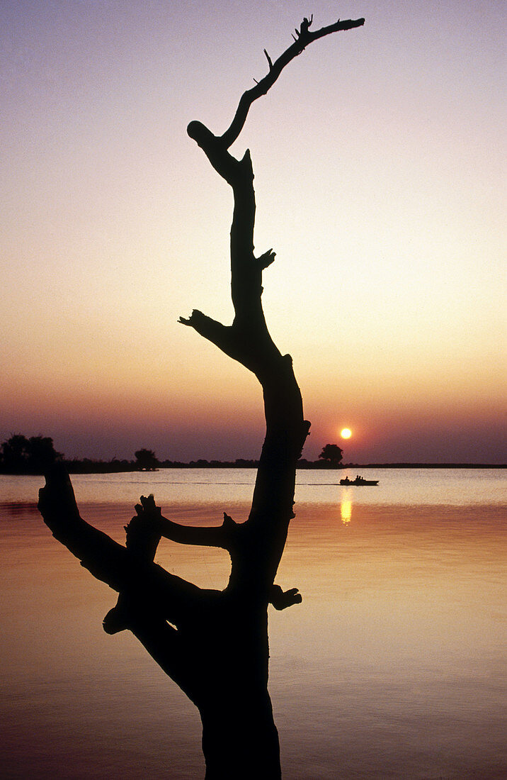 Okavango Delta. Botswana