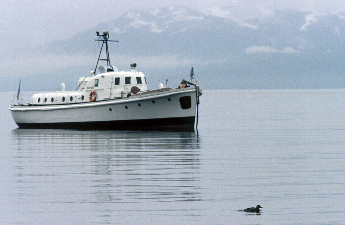 Beagle Channel, Tierra del Fuego