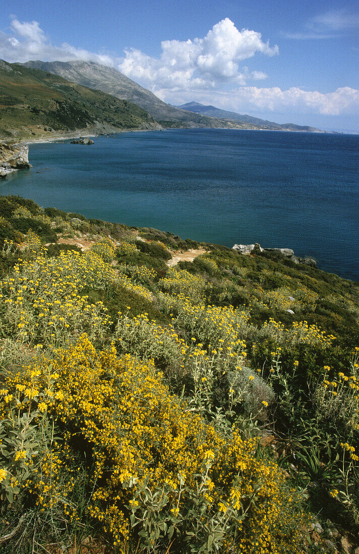 Crete. Greek Islands. Greece.