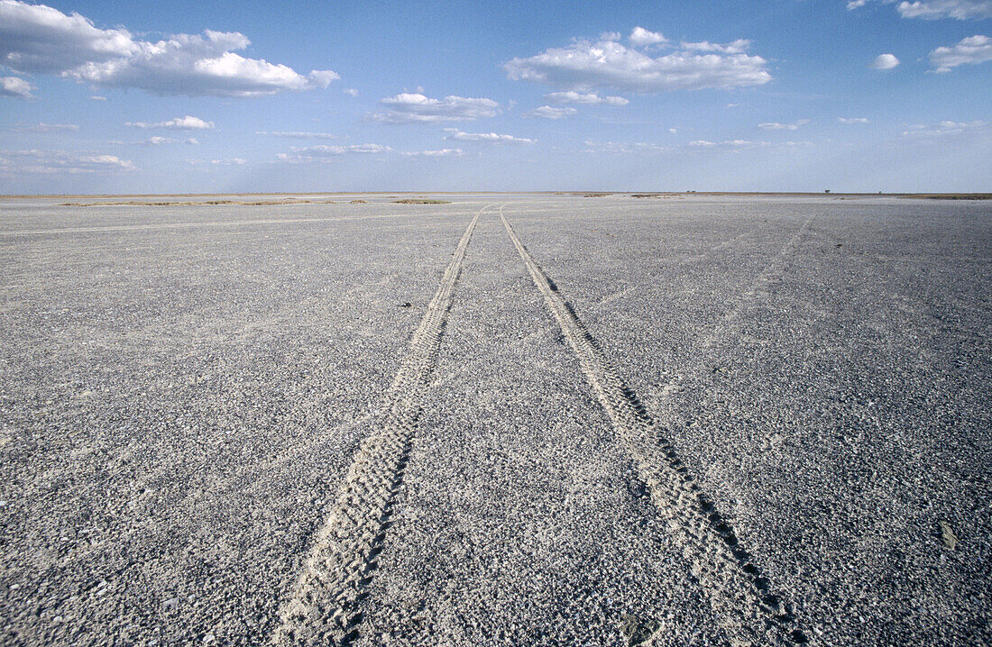 Makgadikgadi Pans. Botswana.