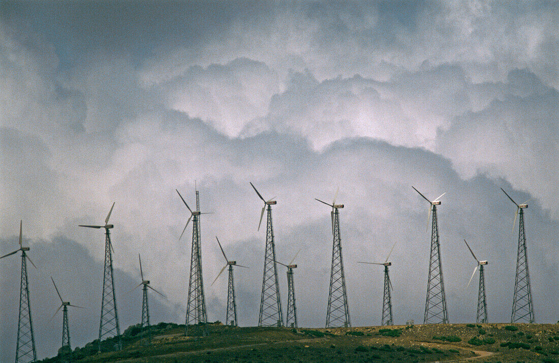 Windfarms. Cádiz province. Andalucia. Spain.