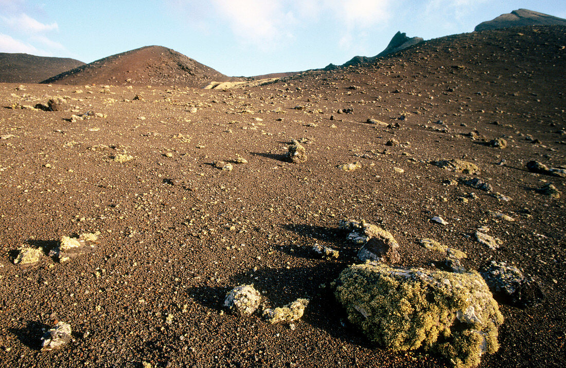 Timanfaya Natural Park. Lanzarote. Canary Islands. Spain.