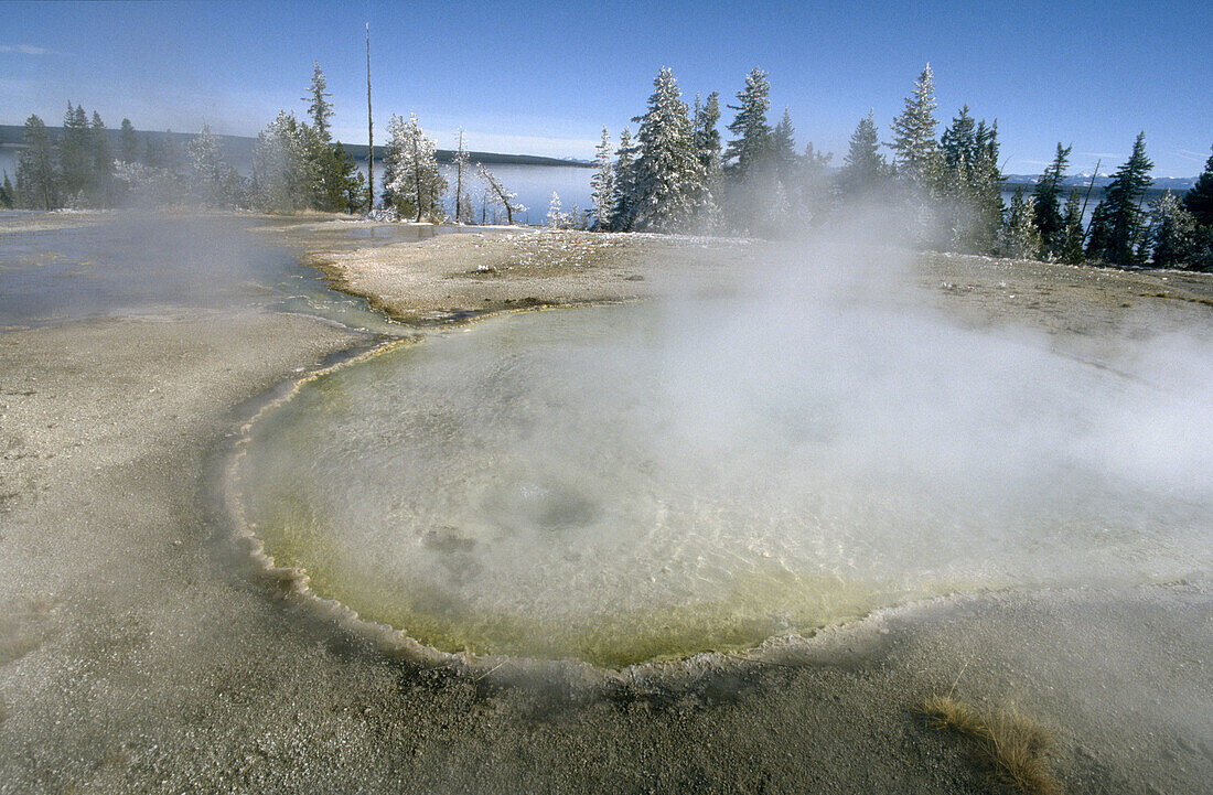 Yellowstone National Park. USA