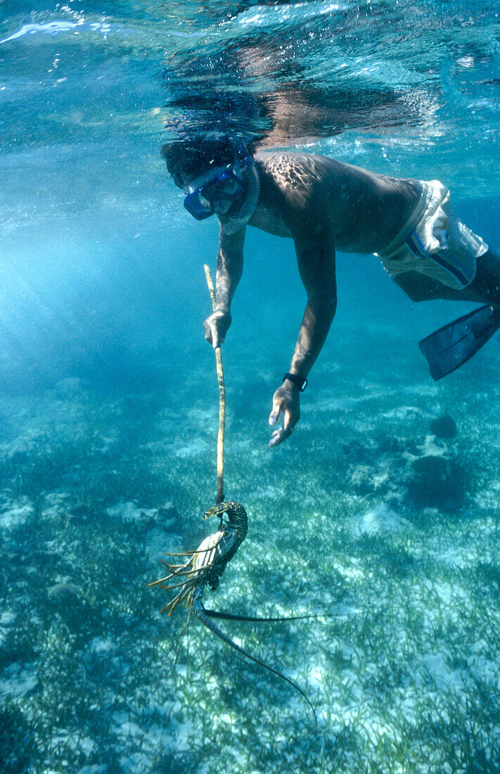 Lobster fishing in Belize. Caribbean Sea. Yucatan. Belize