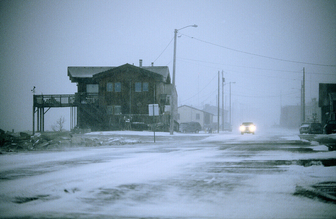 Seward peninsula, Alaska. USA