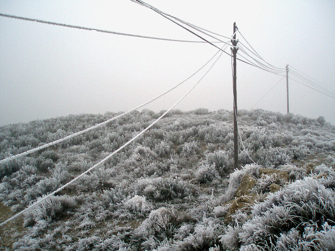 Freezing winter at Las Bardenas Reales natural park. Navarra province. Spain