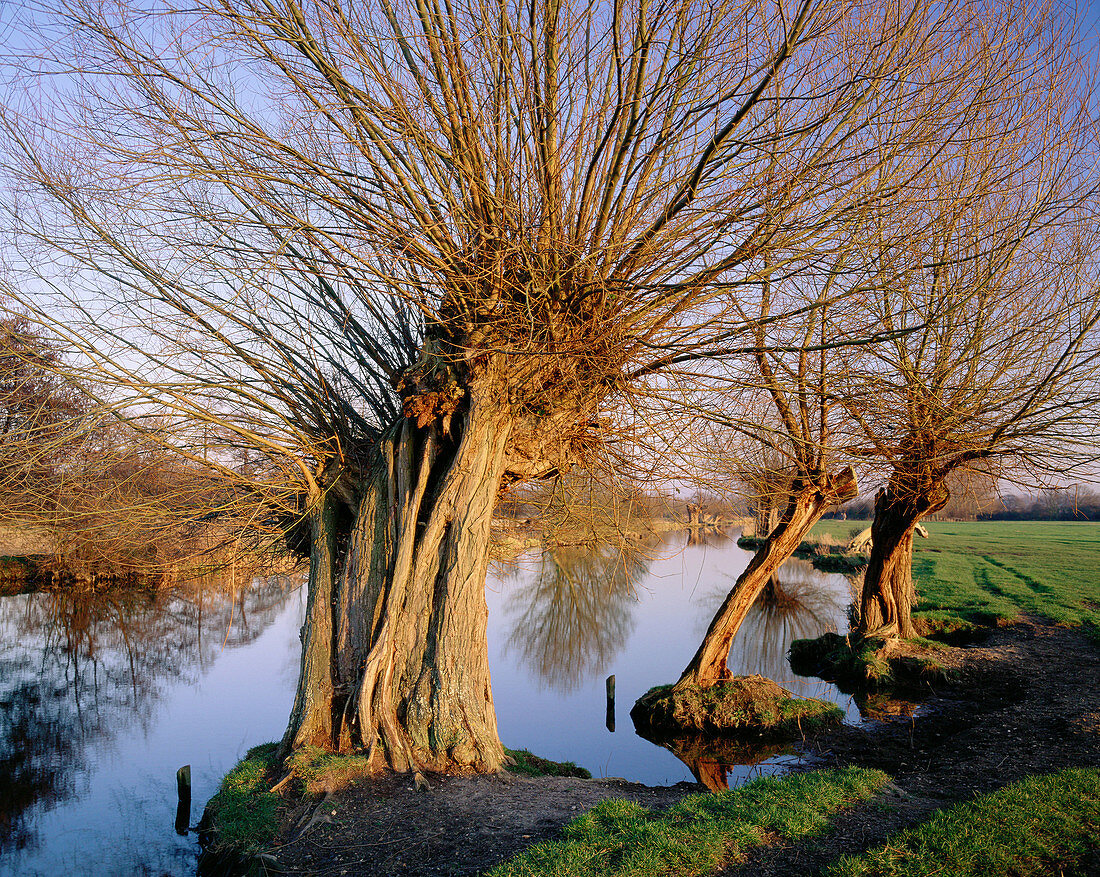 River Stour at Flatford Mill in winter. Essex. England