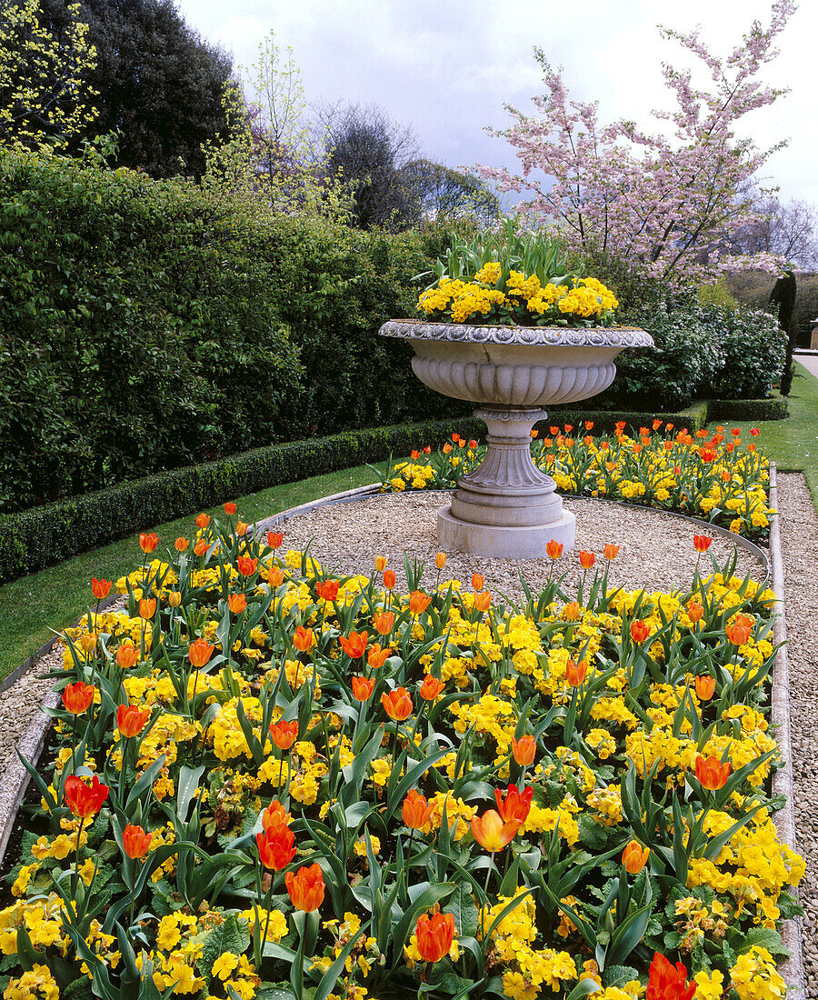 Spring flowers in the Regents Park gardens. London. England. UK