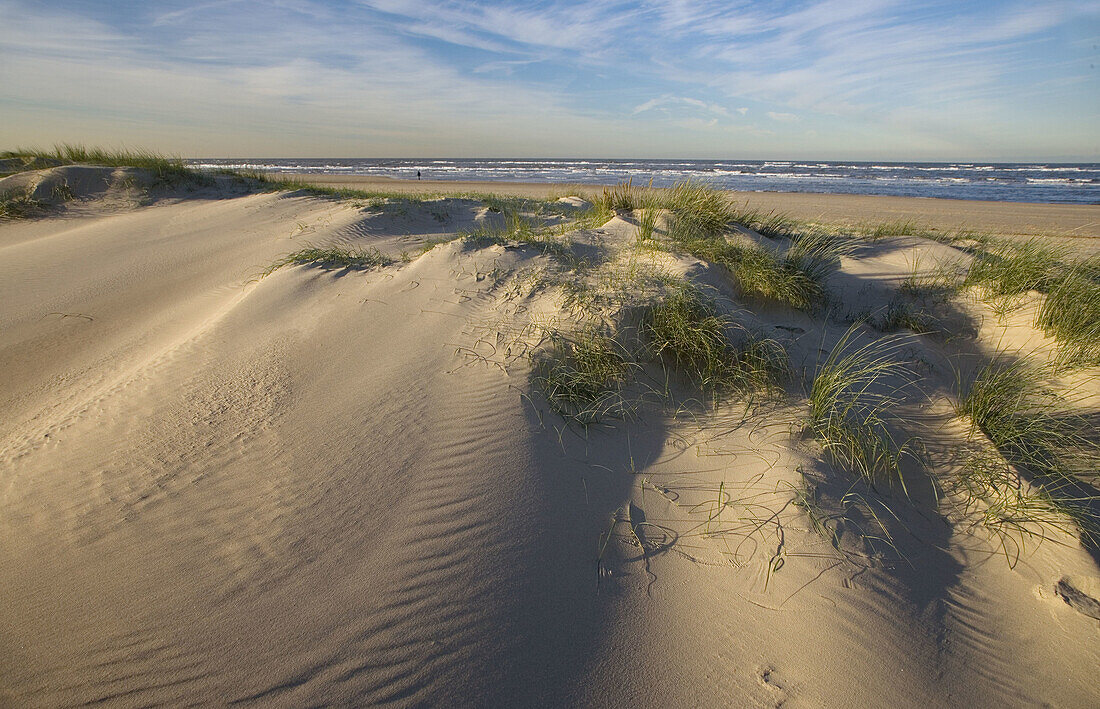 Holkham Beach Norfolk UK