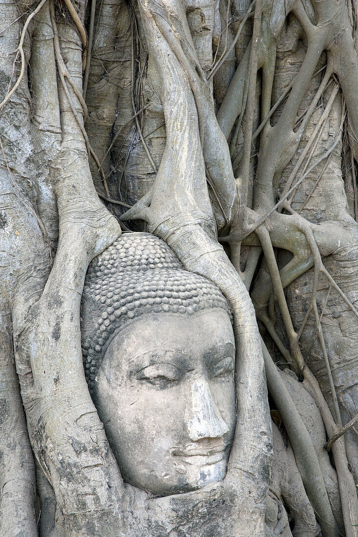 Sandstone Budah. Ayutthaya, Thailand