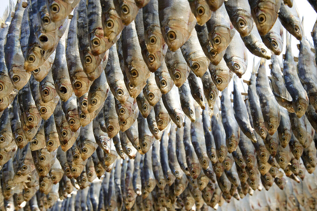 Drying fish. Cha-am. Thailand