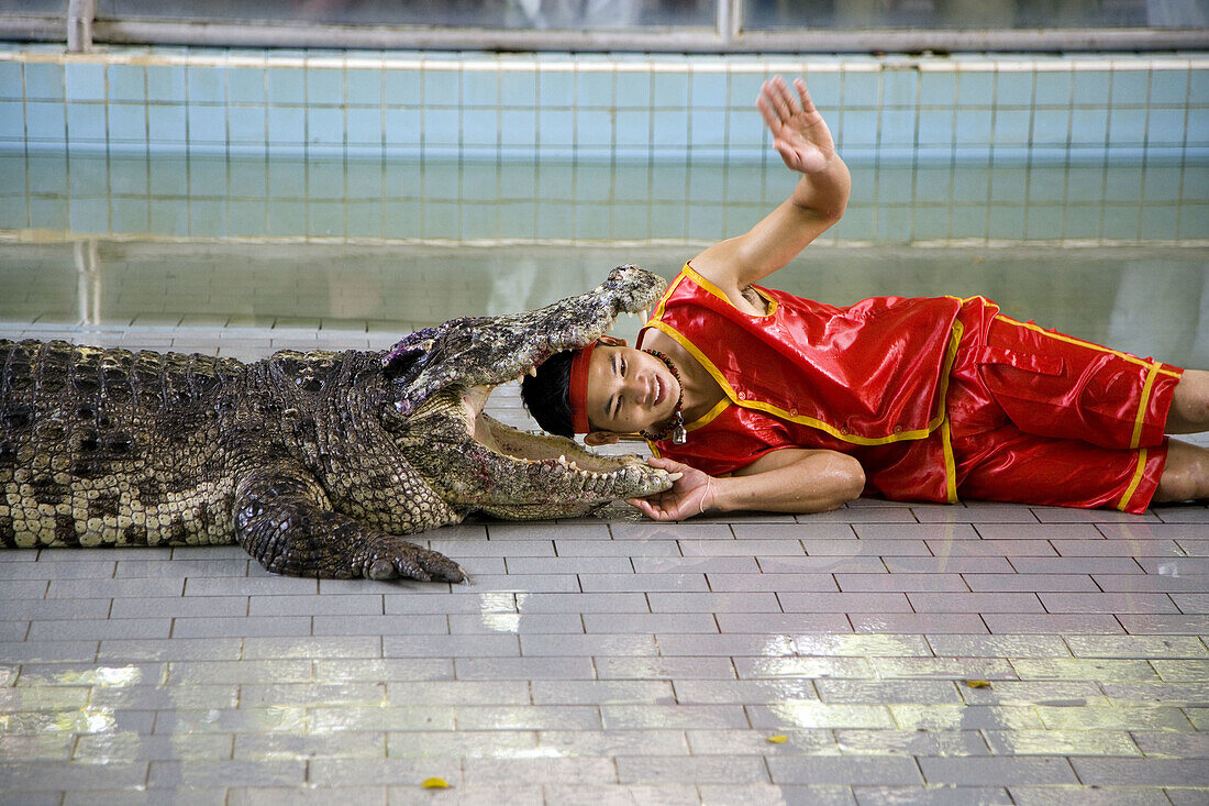 Crocodile show at Thailand Zoo