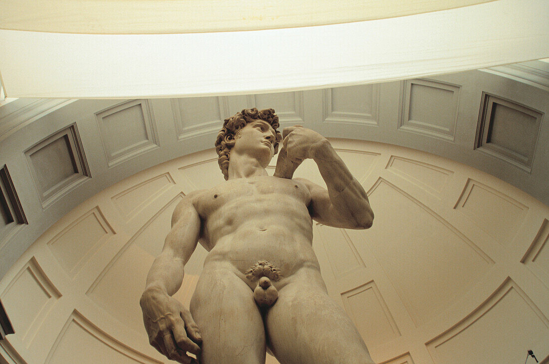 David, by Michelangelo. Galleria dell Accademia. Florence. Italy