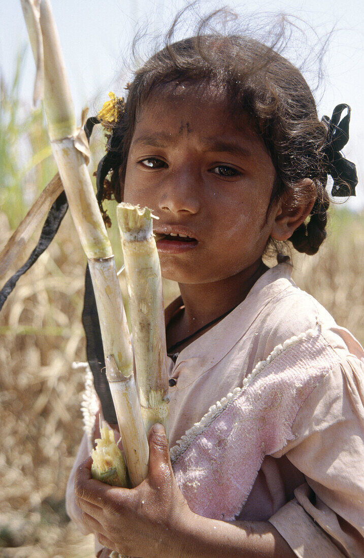 Girl with sugar cane harvest. Mulbaghal, Karnataka. India.