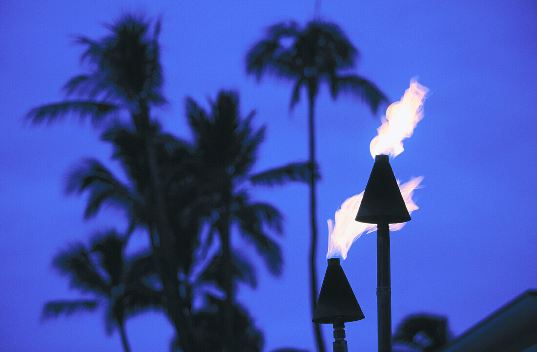 Hawaiian torches. Waikiki Beach. Honolulu. Oahu. Hawaii