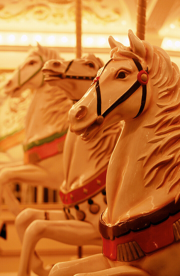 Carousel horses. Huis Ten Bosch (Dutch village). Nagasaki. Japan