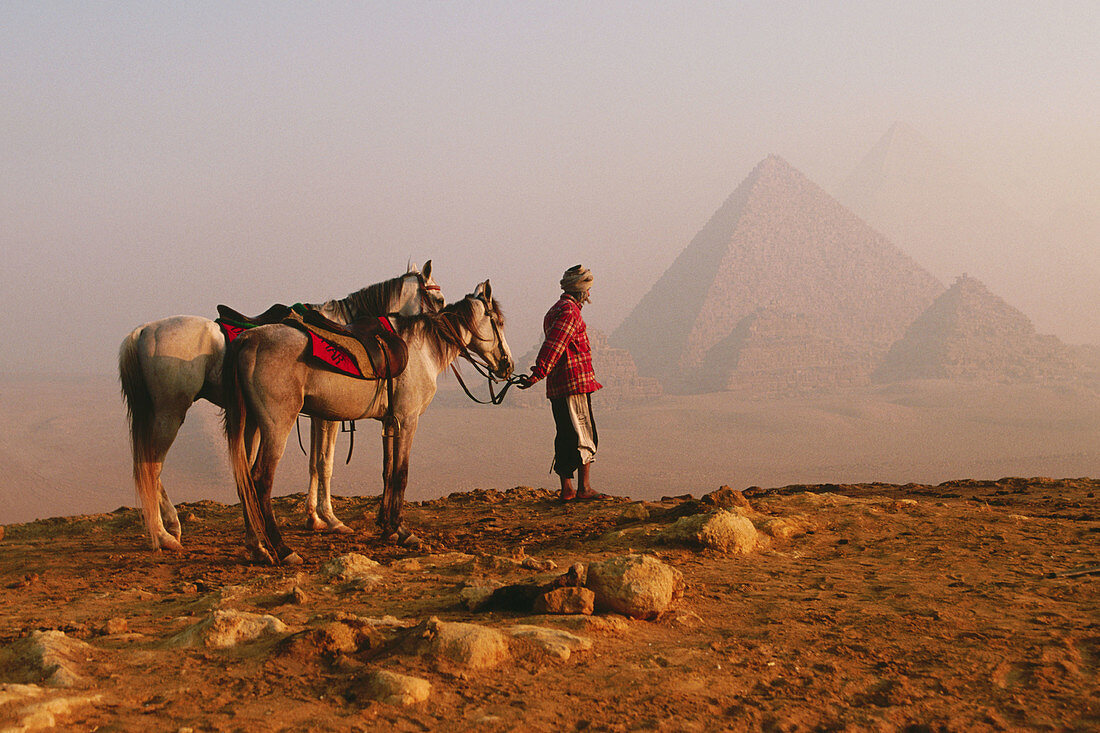 Pyramids at dawn, horses and guide. Giza. Cairo. Egypt