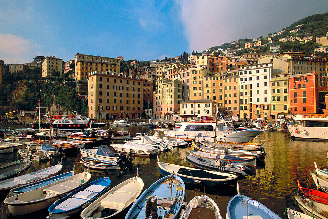 Harbor. Camogli. Liguria. Italy