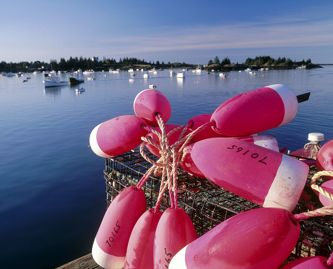 Lobster buoys. Vinalhaven Island. Maine. USA