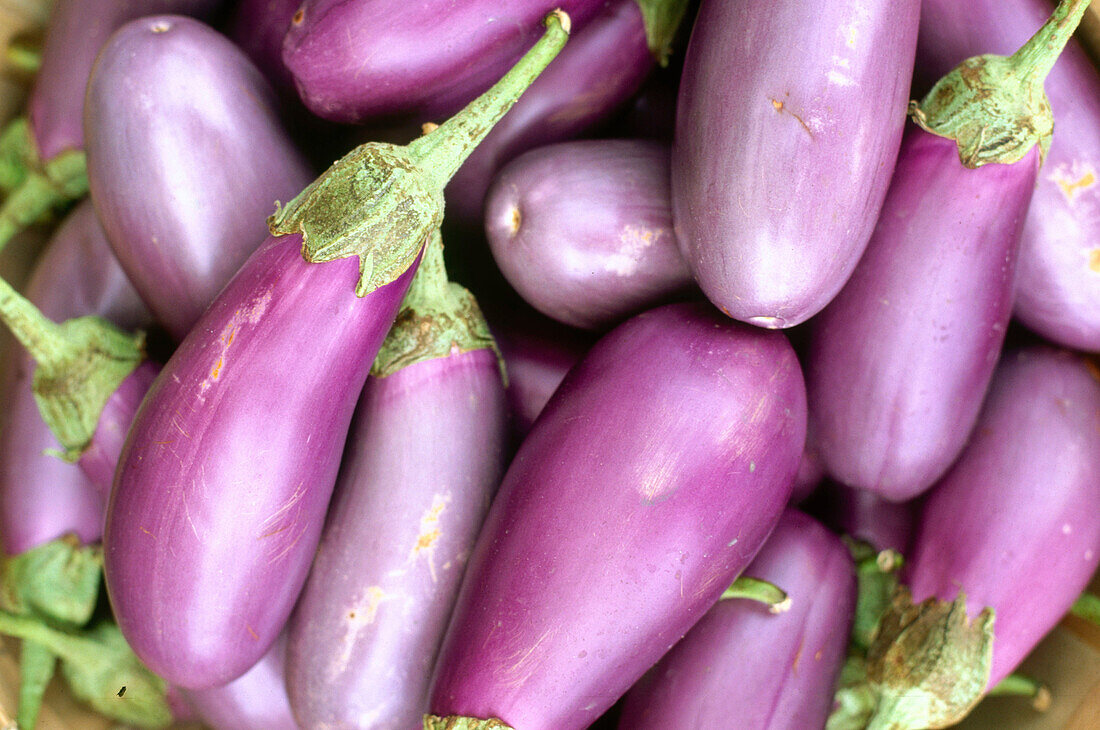 Purple eggplants. Jean Talon Farmer s Market. Montreal. Quebec. Canada