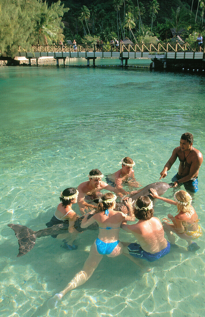 Dolphin Quest Lagoon. Intercontinental Beachcomber Hotel. Moorea. French Polynesia