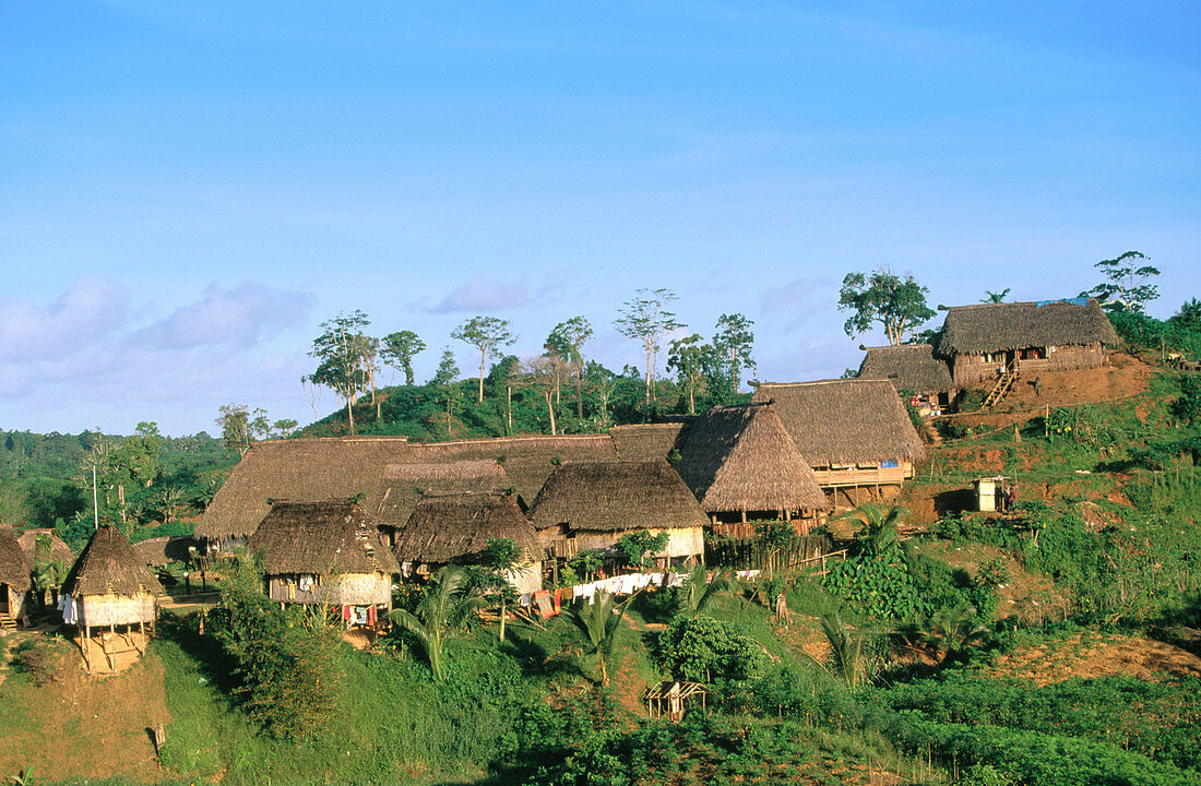 Traditional bure houses. Viti Levu. Fiji