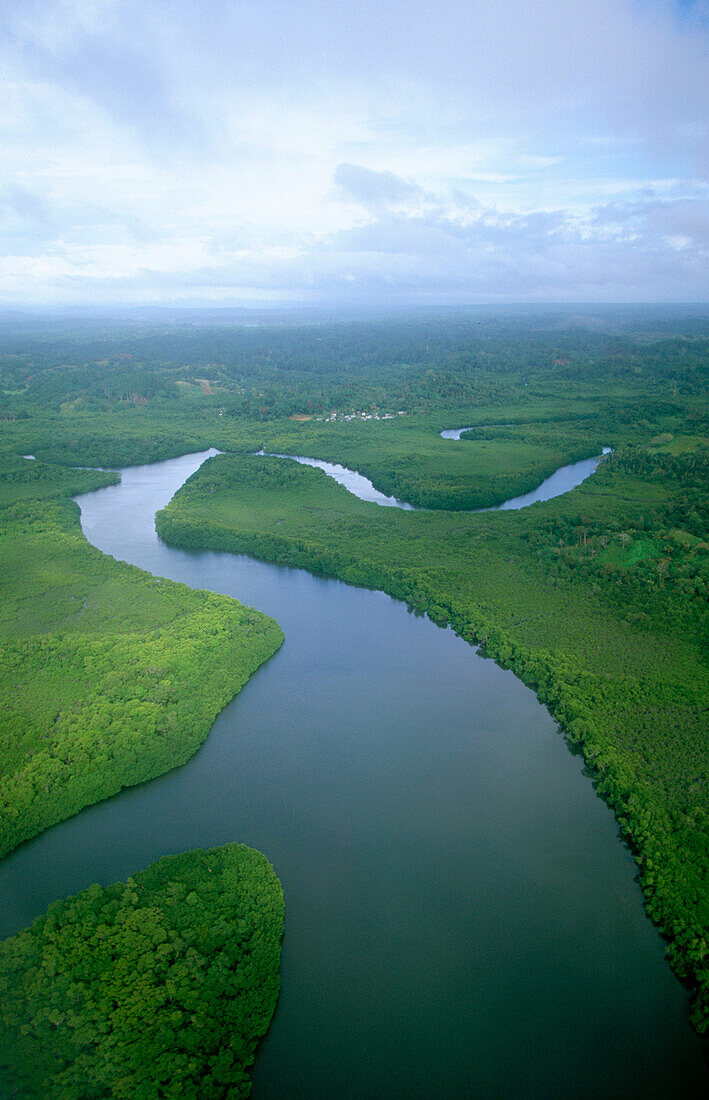 Waimanu River delta. Suva. Viti Levu. Fiji