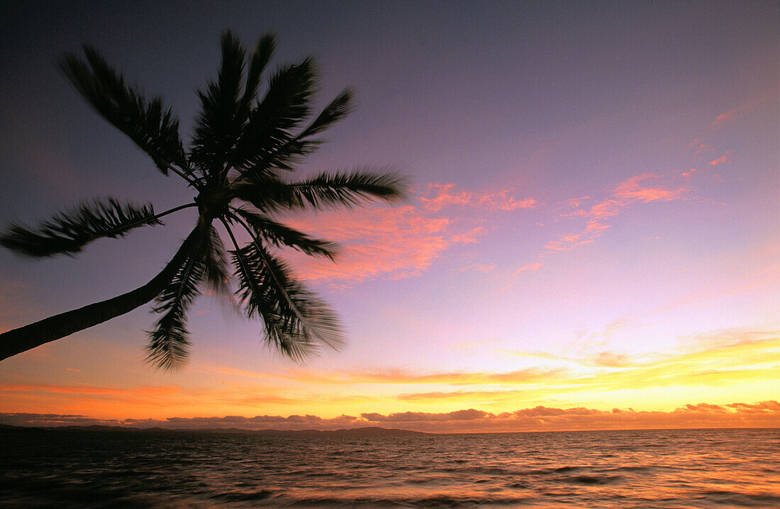 Denarau Island. Viti Levu. Fiji