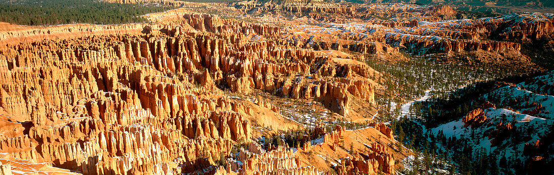 Bryce amphitheater in winter morning. Bryce Canyon National Park. Utah. USA