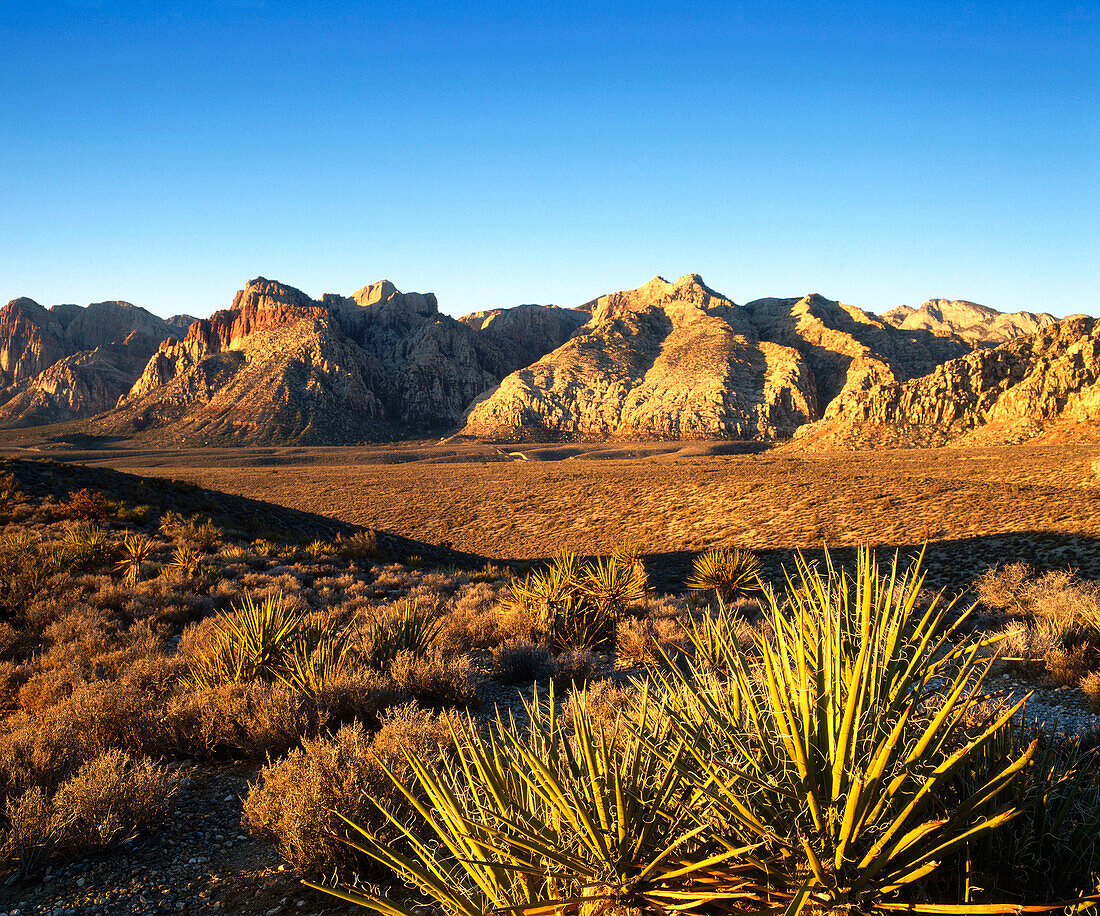 View of the Spring Mountains in the Red Rock Canyon. Nevada. USA