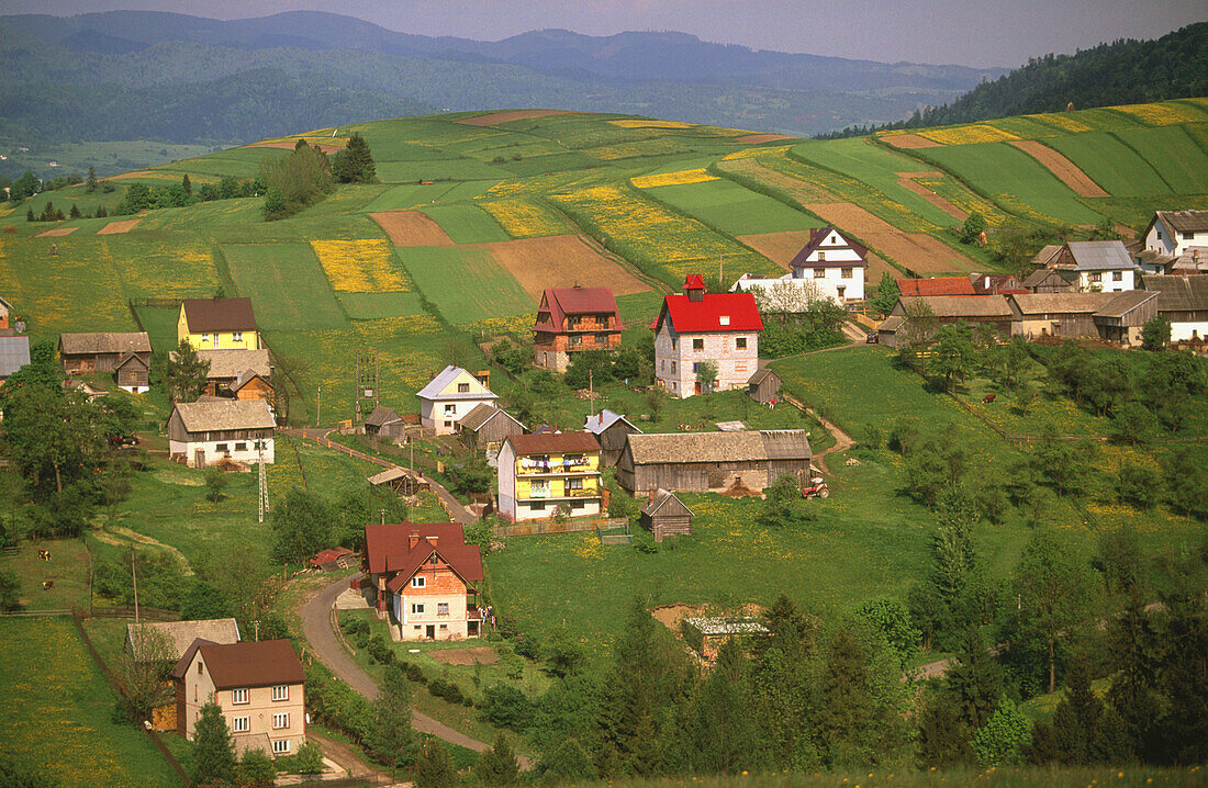 Haluszowa village. The Pieniny. Carpathian Mountains. Poland