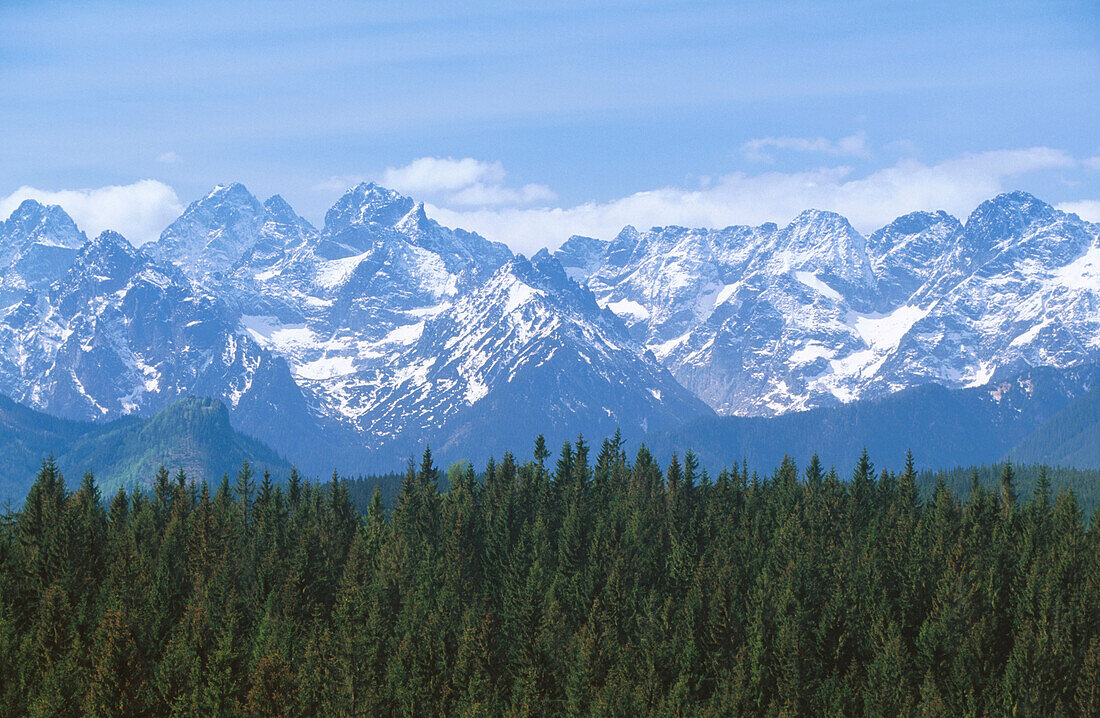 Lysa Polana. Tatra Mountains. Carpathian Mountains. Poland