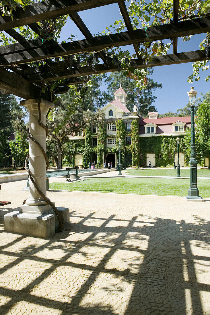 Niebaum-Coppola Estate Winery in Rutherford. Napa Valley. California, USA