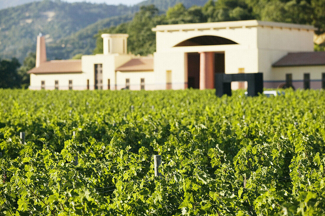 Clos Pegase Winery in Napa Valley. California, USA