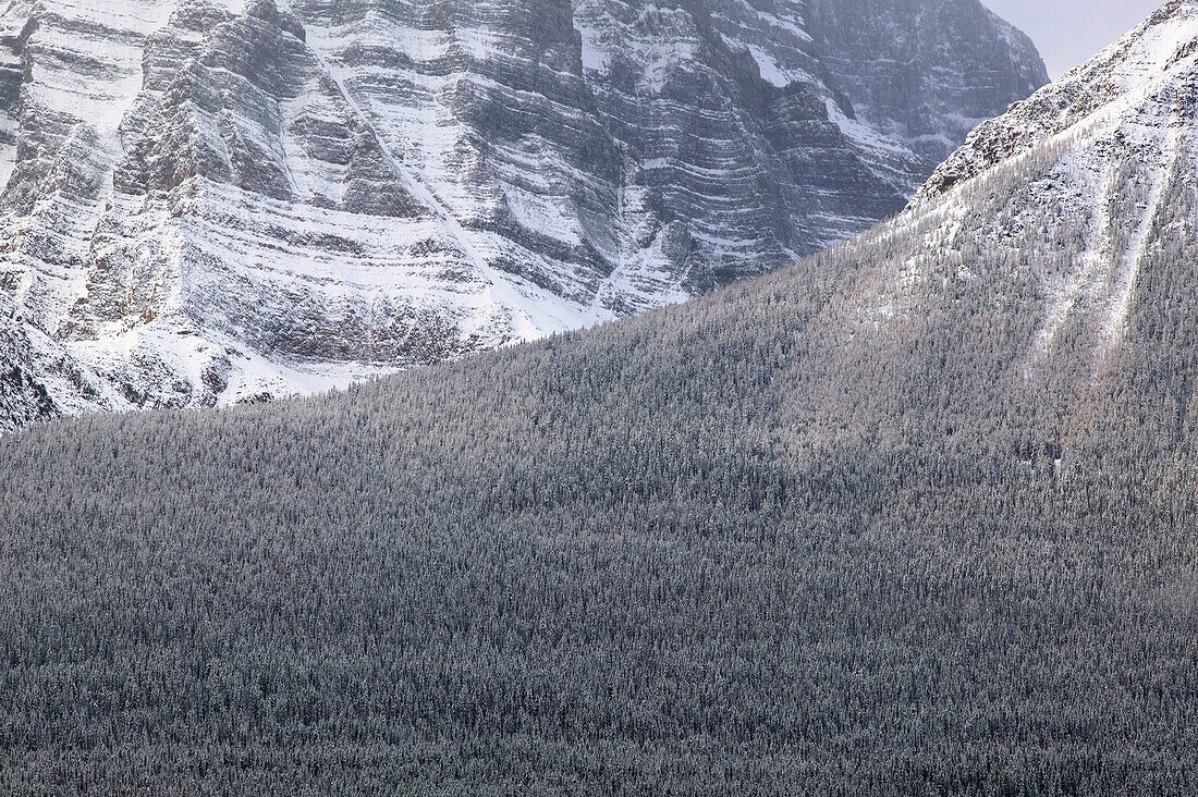 Early morning winter mountainscape from Bow Valley parkway, detail. Lake Louise, Banff National Park. Alberta, Canada